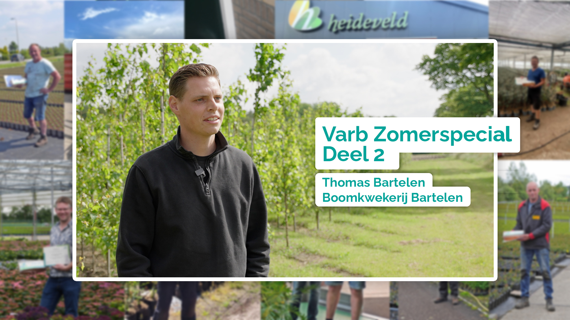 Zomerspecial Varb 2024 - Deel 2